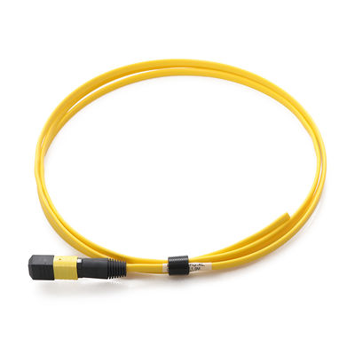 Câble unimodal MPO MTP 12F 1.5M For FTTX FTTX de la fibre G657a1
